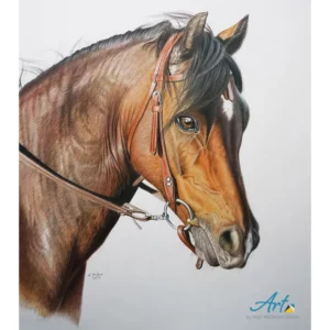 Pferdeportrait von Anja Treskow, handgezeichnet